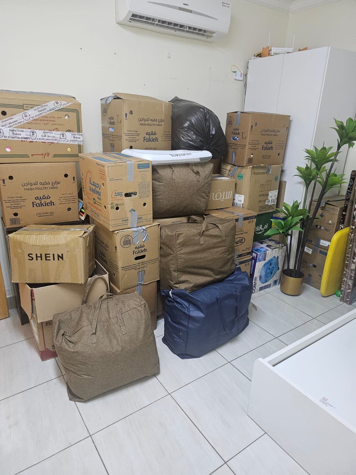 Professional Loading Service